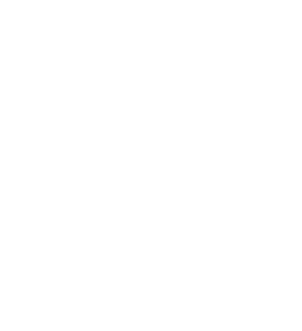 お料理のご紹介